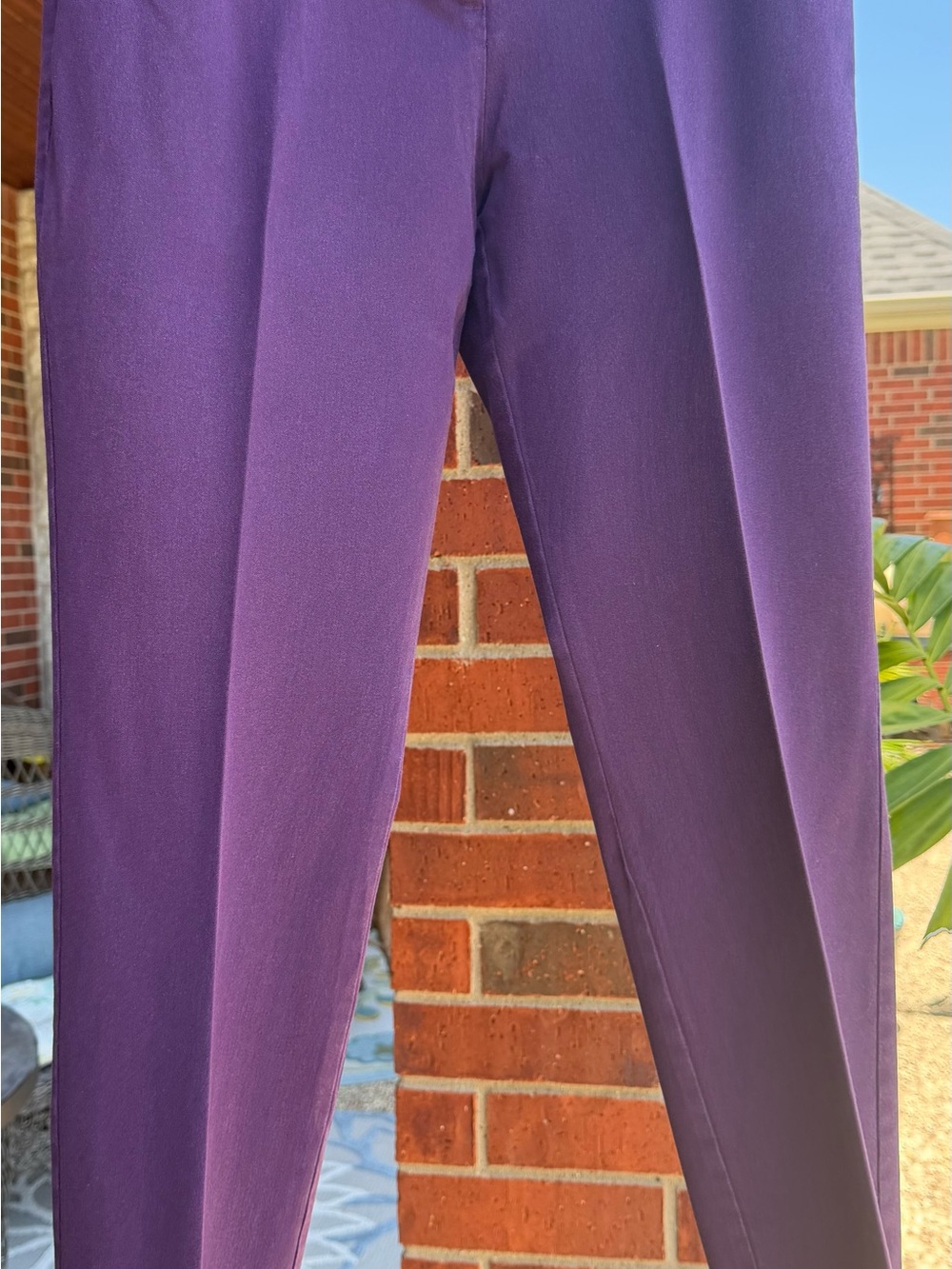 41 Hawthorn Blackberry Dress Pants